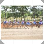 Escaramuza Charra De Don Walter Herrera - @escaramuza_donwalter - Instagram