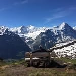 Don Walton - @waltodt - Instagram