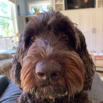 Don Walton - @dwalton2001 - Instagram