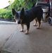 Don Walton - Facebook