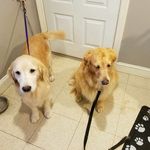 Don Walton - @walton4220 - Instagram
