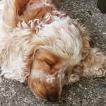 Donna Warnock - @donnawarnock - Instagram