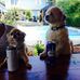 Don Webster - Facebook
