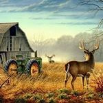 Don Welch - @donwelch86 - Instagram