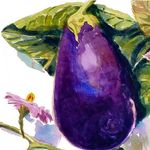 Don Welty - @aquarellepdx - Instagram