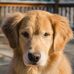 Don Westbrook - Facebook