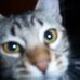 Don Westbrook - Facebook