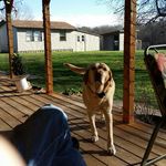 Don Westbrook - @don_westbrook - Instagram