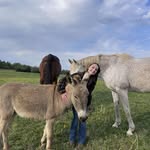 Don Wester - @don.wester - Instagram