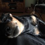 Don Whitfield - @whitfielddon - Instagram