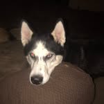 Donald C Whitlock - @don2.1856 - Instagram