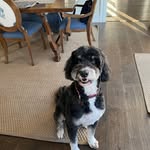 Don Wight - @donaldwight - Instagram