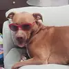 Don Wilde - @donwilde - TikTok