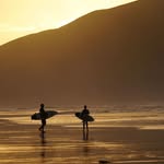 @donwilde_ - Instagram