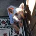 Donna Wildermuth - Facebook