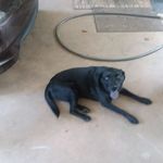 don williamson - @williamson_don - Instagram