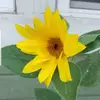 donnawinstead.tapley - @donnawinstead.tap - TikTok