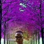 don wiser - @wiser_don - Instagram