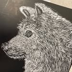 DWBA - @donwolfgangbasketball - Instagram
