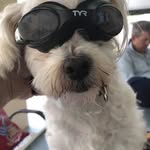 Don Woodard - @dowawoo - Instagram