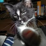 Ali Don Workman - @ali.cat.963 - Instagram
