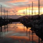Don Workman - @dworkman194 - Instagram