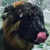 Reno Donworth - @reno.donworth - TikTok
