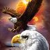 Don York - Facebook