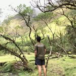 donyu# - @muhammadsonu71 - Instagram