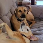Donna Dean - Facebook