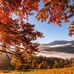 Donna Dodson - Facebook
