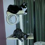 Donna Miner Dodson - @dodsonmom - Instagram