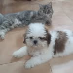 Dona and Duke - @dona_and_duke - Instagram