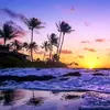 Donna.Harmon - @donnaharmonpejwzpr - TikTok