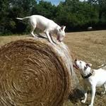 Donna Hurst - @donna.hurst.1428 - Instagram