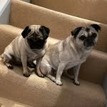 Donna Hurst - @donnahurst_72 - Instagram