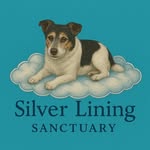 Donna Ingram - @the_silver_lining_sanctuary - Instagram