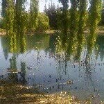 Donna Ingram - @donna.ingram.526 - Instagram