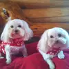 Donna Jacobs - @donnajacobs238 - TikTok