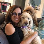 Donna Klein - @dcohenklein - Instagram