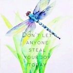 Donna Knapp VBogaert - @donnaknappvbogaert - Instagram