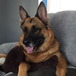 Donna Knowles - @ladyspawn69 - Instagram