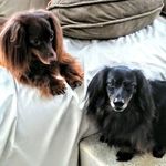Donna Knowles Hounshell - @donnaknowles - Instagram