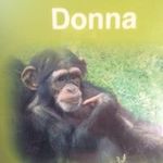 Donna Lambert - @bambolambert - Instagram