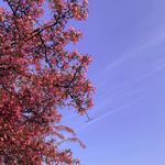 Do nalang - @do_nalang - Instagram