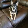 Donna Lawrence - @donna.lawrence5 - TikTok