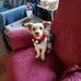 Donna Logan - Facebook