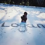 Logan Donahue - @donahue.logan - Instagram