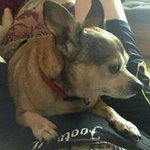 Donna Manship - @donnamanship - Instagram
