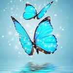 Donna Manship - @manshipdonna - Instagram